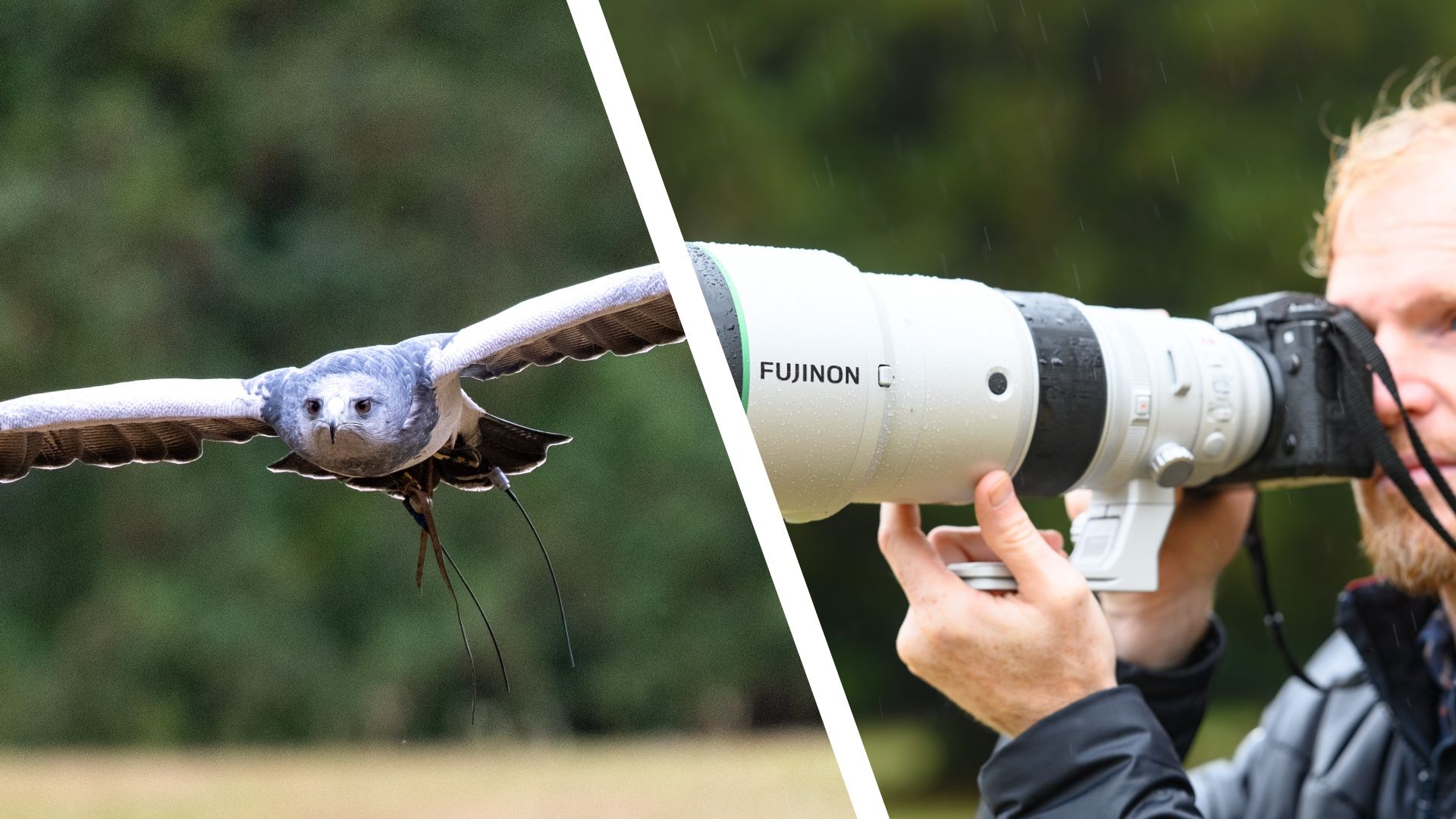 Fujifilm presenta el objetivo XF 400mm F4.5 para fotografía de fauna