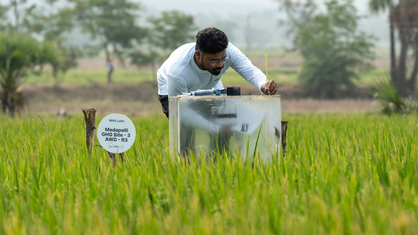 Google agrees to buy 1 million rice-methane credits from Mitti Labs through 2030