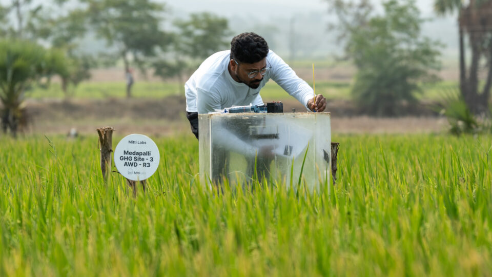 Google agrees to buy 1 million rice-methane credits from Mitti Labs through 2030