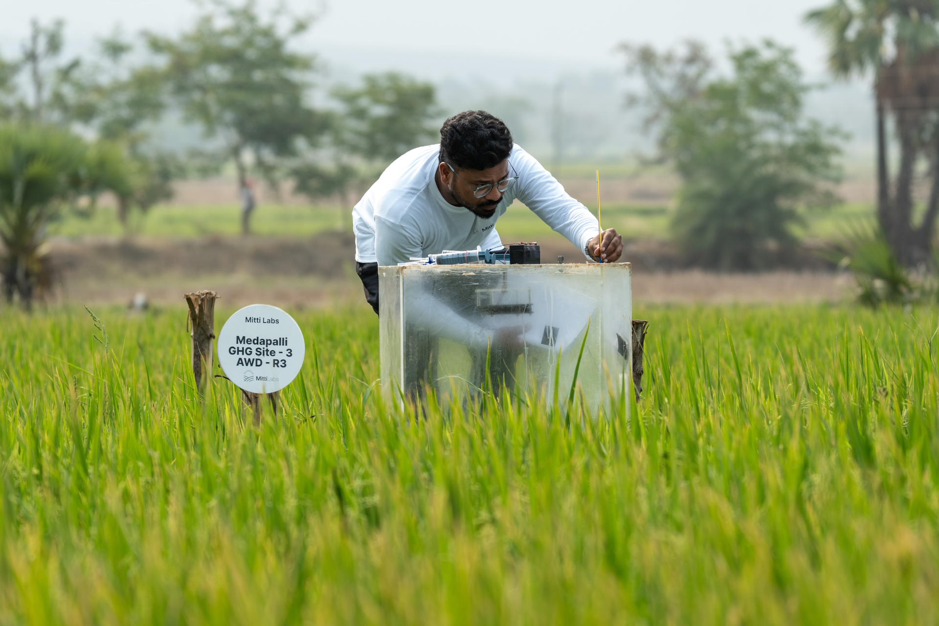 Google agrees to buy 1 million rice-methane credits from Mitti Labs through 2030