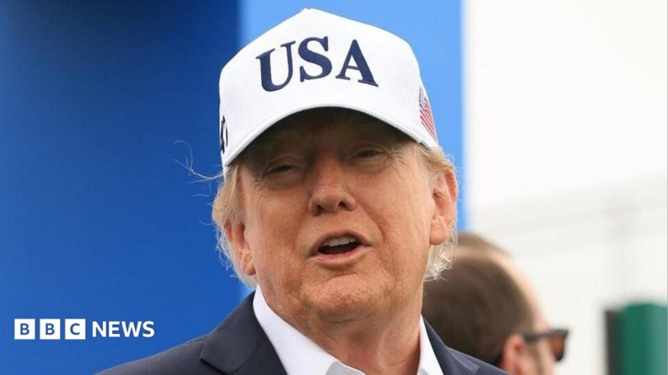 Trump downplays AI risks as experts call for slower development