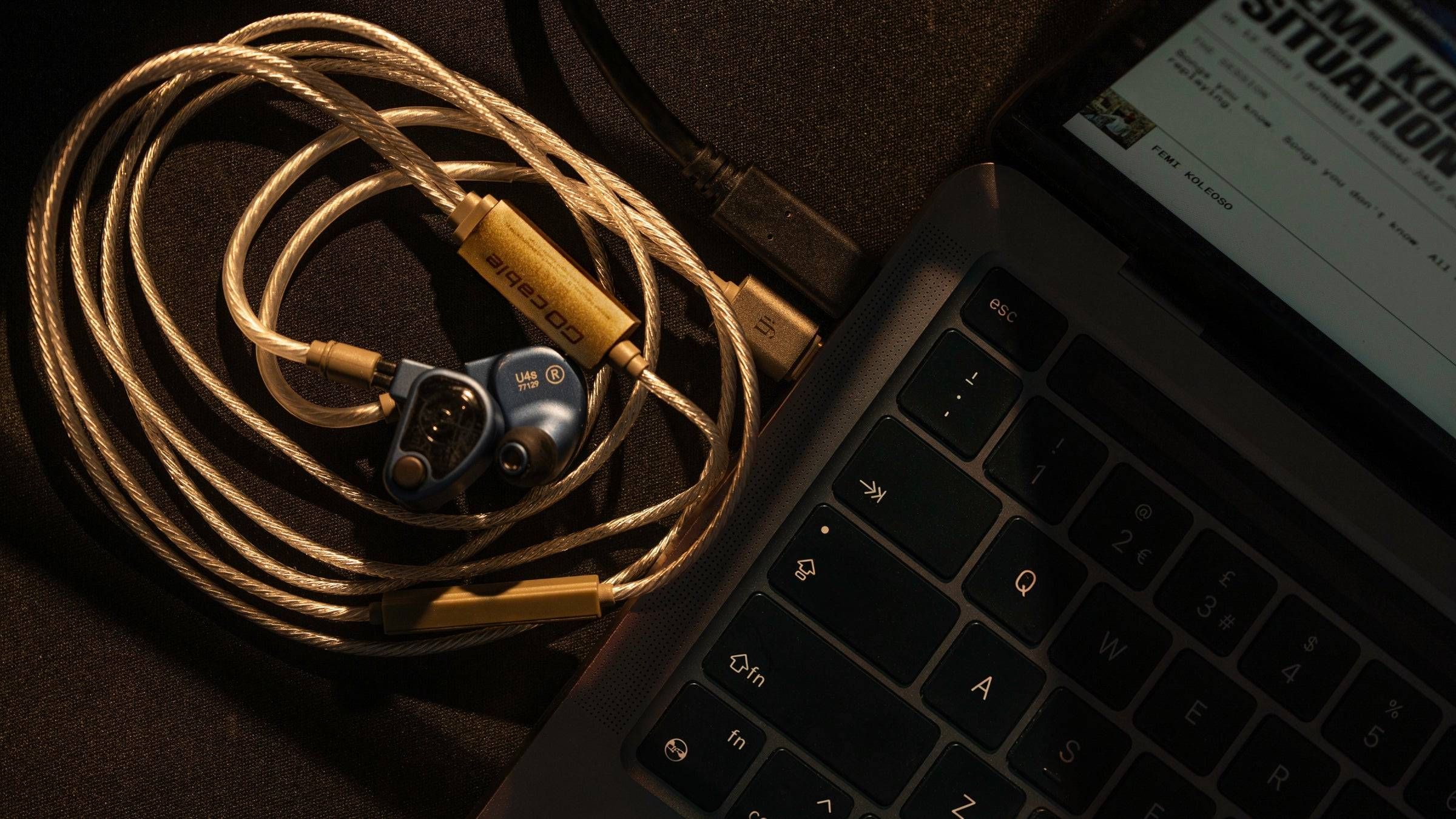 iFi puts a DAC and headphone amp inside its Go Cable
