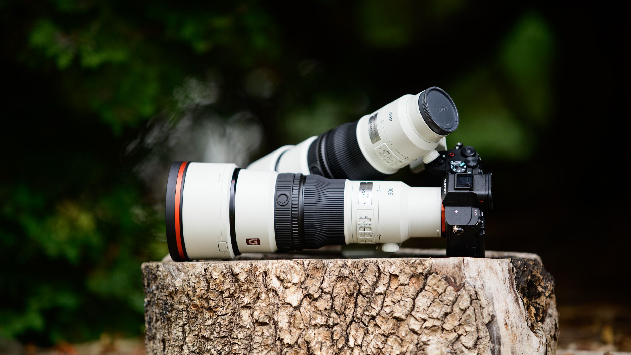 Sony unveils lightweight 400mm and 600mm super-telephoto lenses