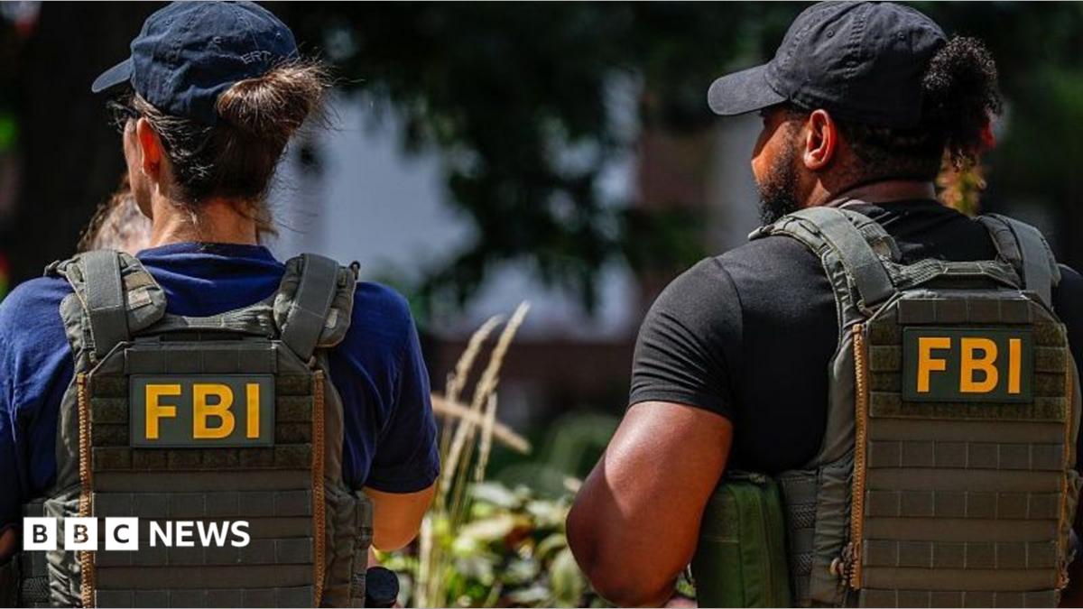 Hackers claim to have stolen FBI agents’ medical records