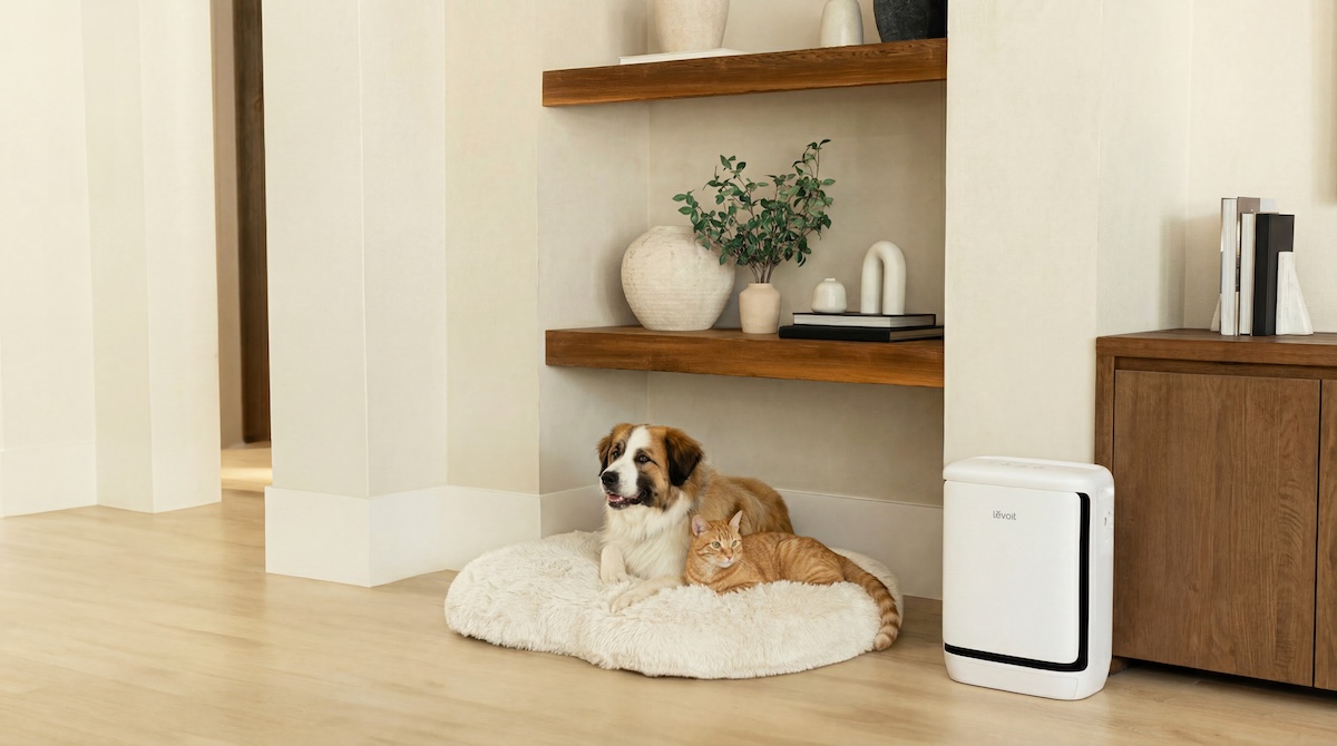 Levoit’s Vital Pet Pro targets pet odors and fur