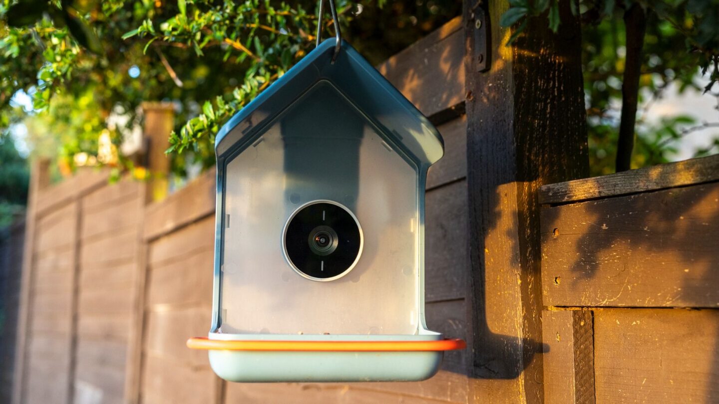 Bird Buddy 2 Review: Six Months With a Solar-Powered Smart Feeder Camera