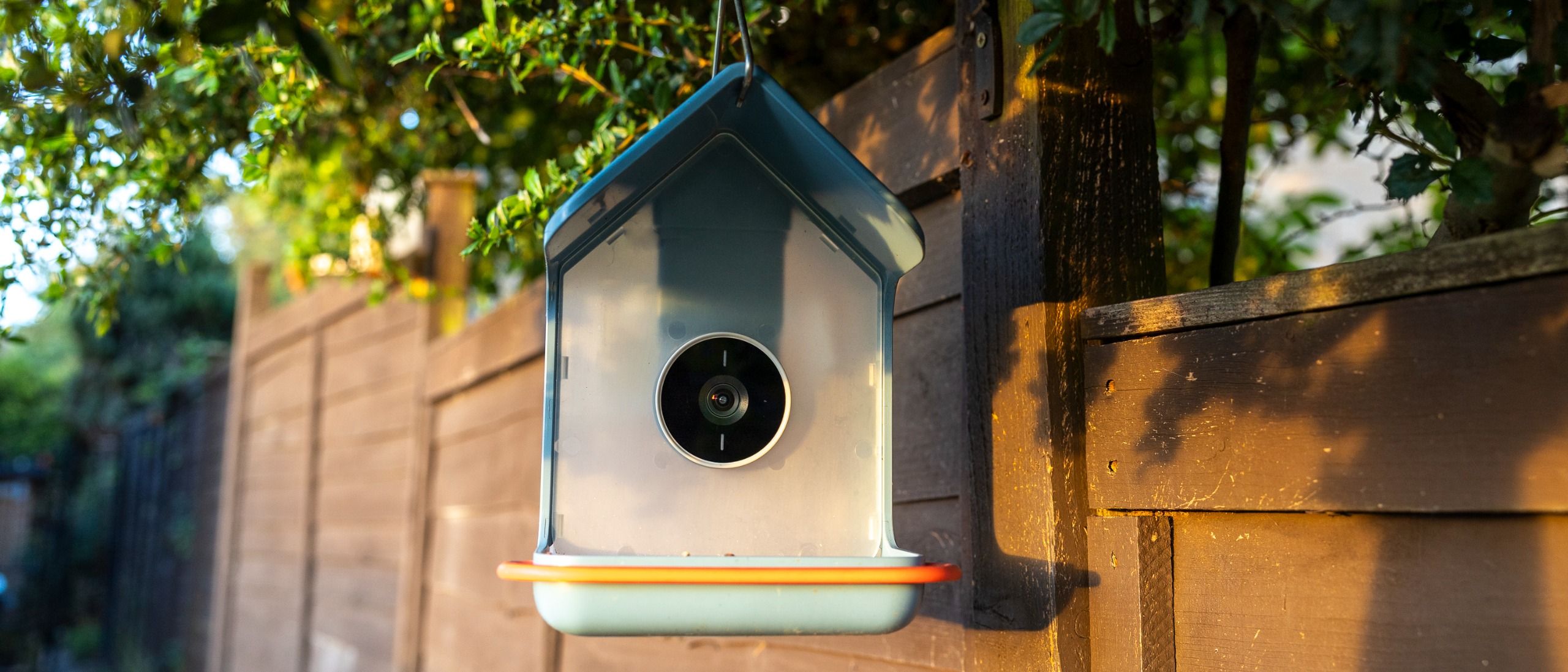 Bird Buddy 2 Review: Six Months With a Solar-Powered Smart Feeder Camera
