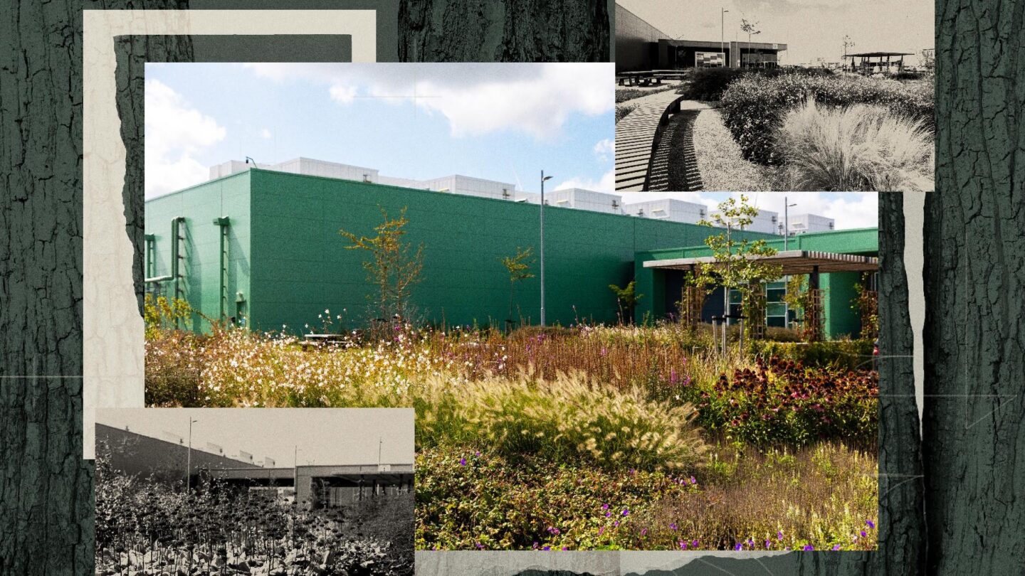 Microsoft plans nature-inspired changes at more than 20 data center sites