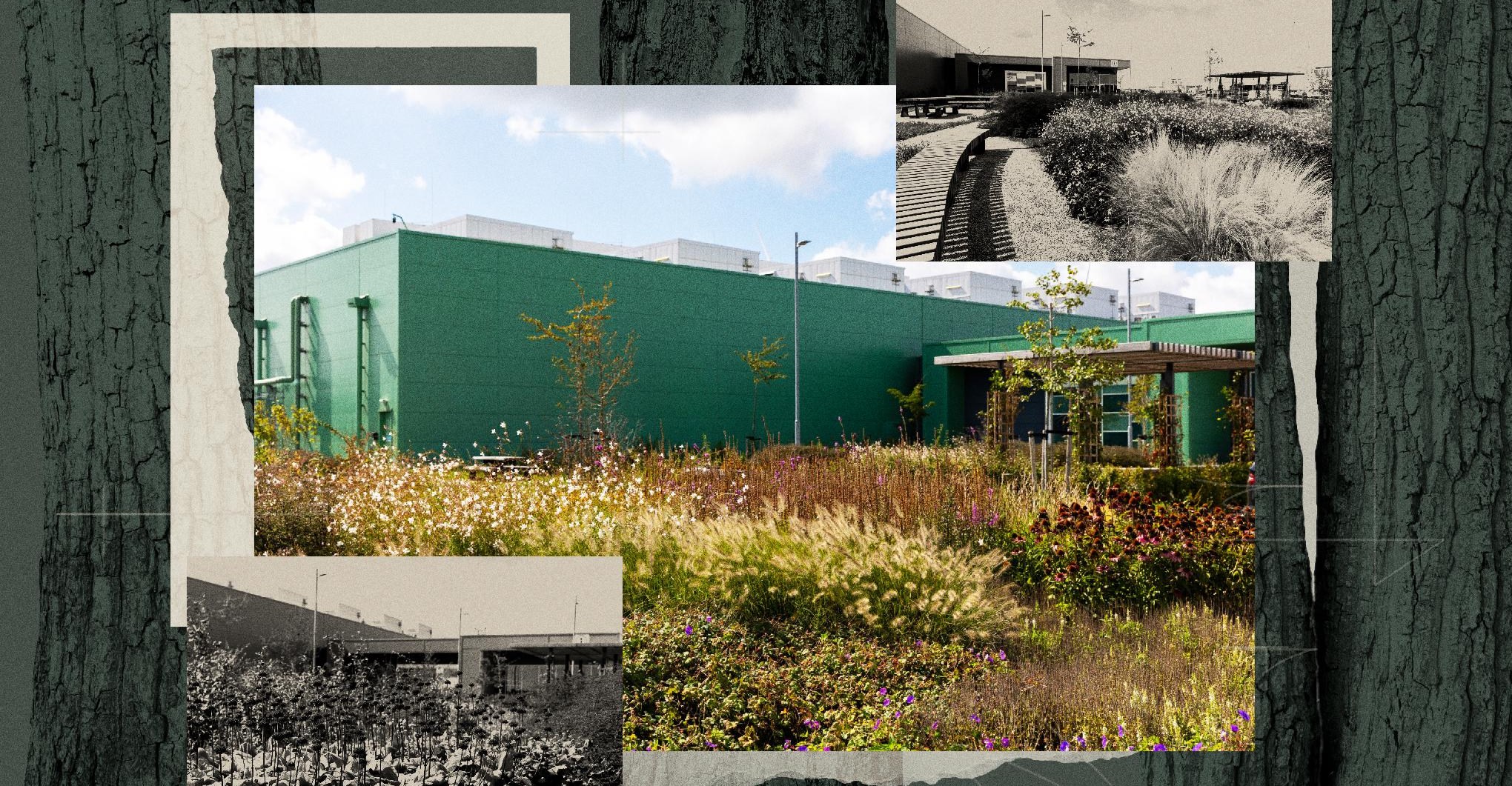 Microsoft plans nature-inspired changes at more than 20 data center sites