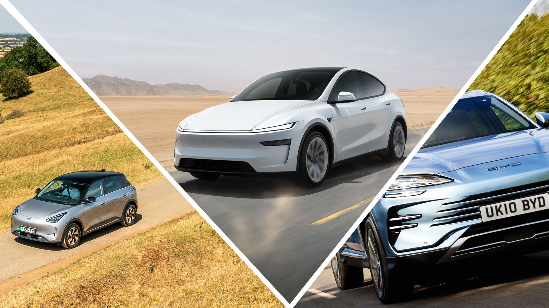 BYD Leads Tesla in August EV Brand Sales as Model Y Tops Models
