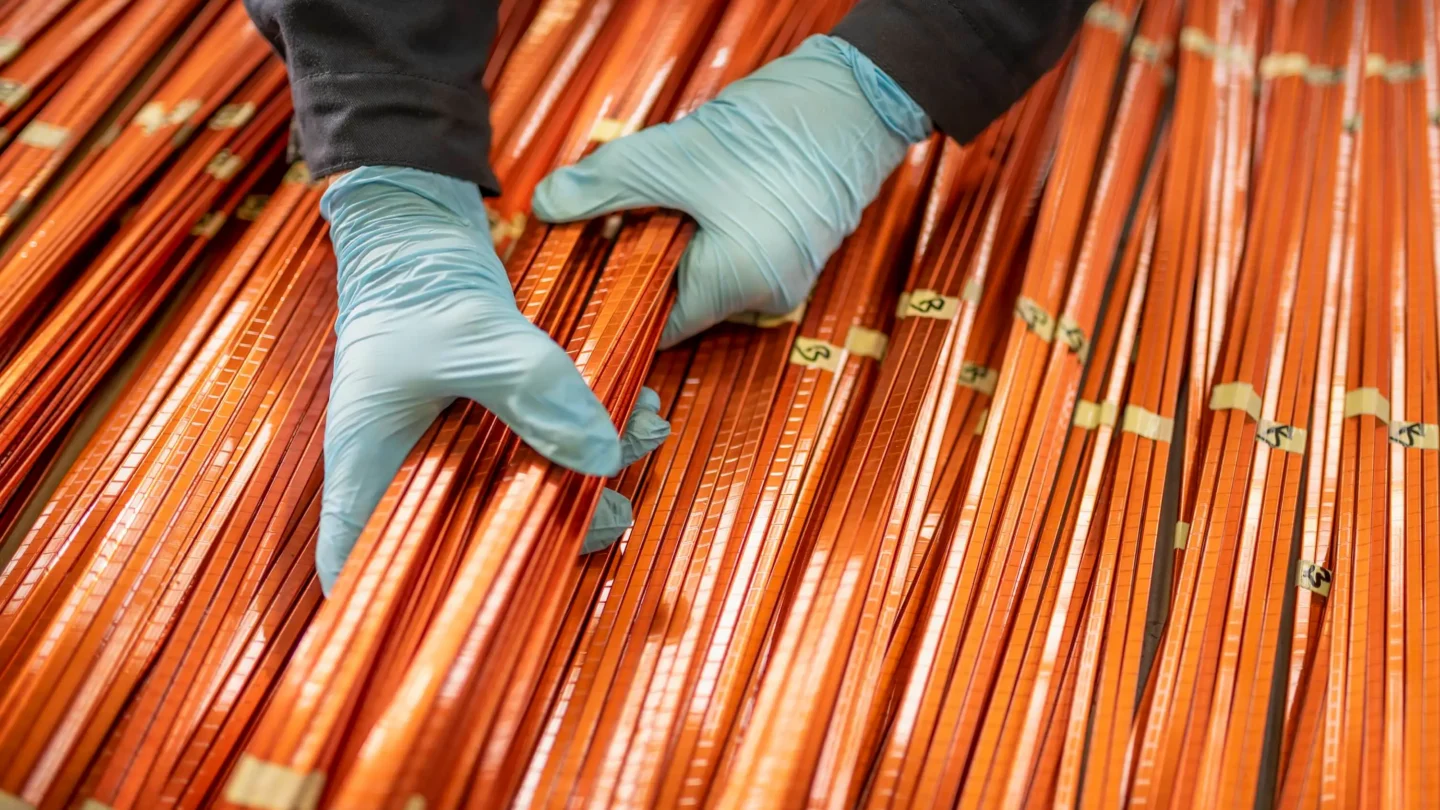 Giraffe Bio raises $6.4 million to boost copper recovery