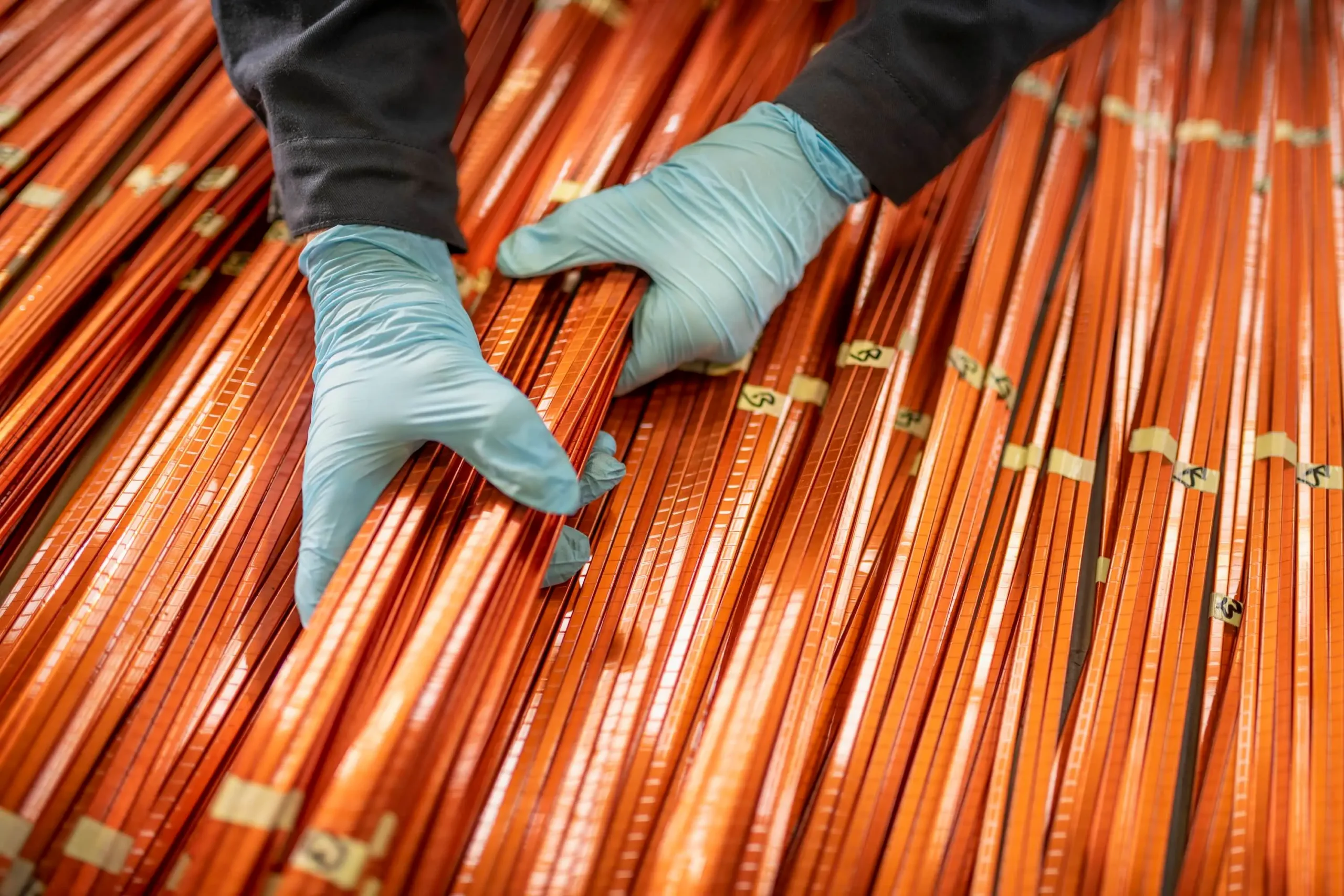 Giraffe Bio raises $6.4 million to boost copper recovery